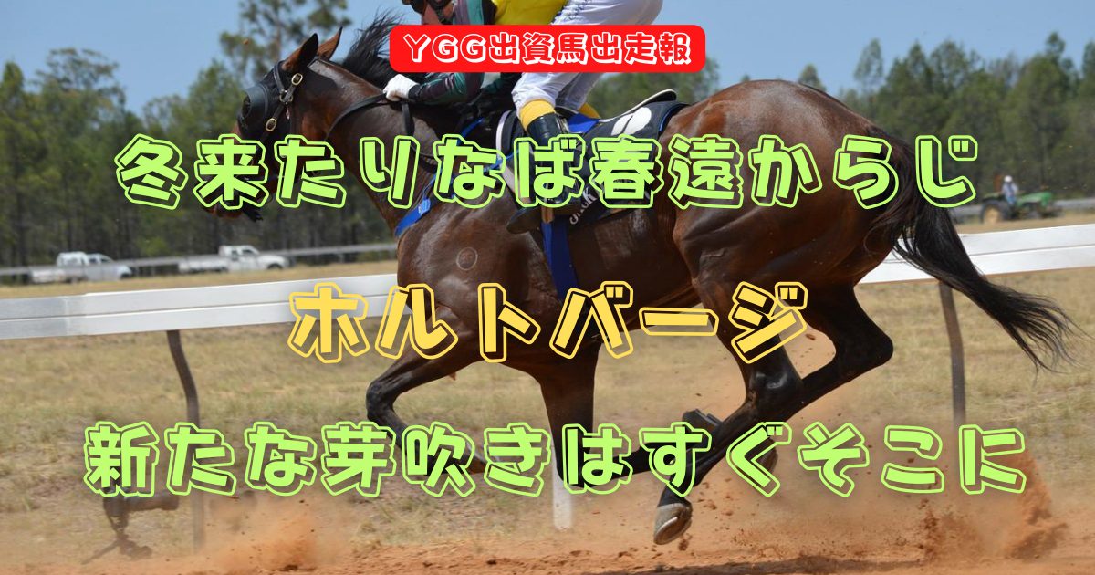 冬来たりなば春遠からじ　ホルトバージ　新たな芽吹きはすぐそこに